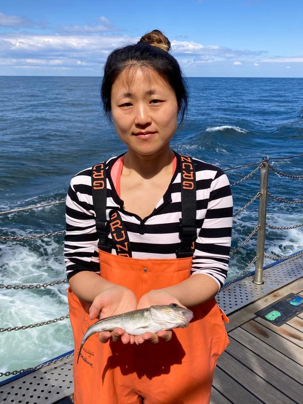 Die Autorin der Studie, Dr. Kwi Young Han mit einem ausgewachsenen Dorsch während der aktuellen Fischerei-Ausfahrt auf dem Forschungsschiff ALKOR