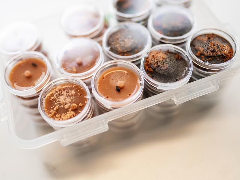 Bioassays