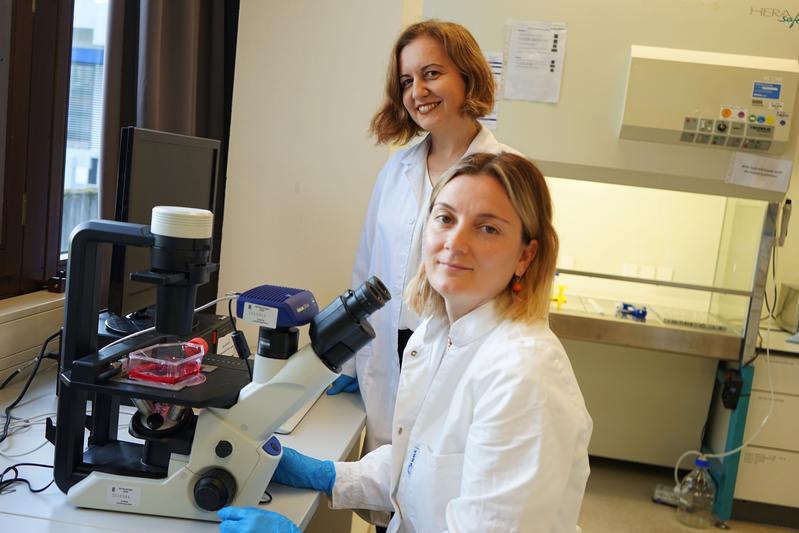 Prof. Dr. Ebru Ercan Herbst (hinten) und ihre Mitarbeiterin Dr. Sinem Agilkaya forschen an einem Modell der Blut-Hirn-Schranke für neue Therapieansätze. 
