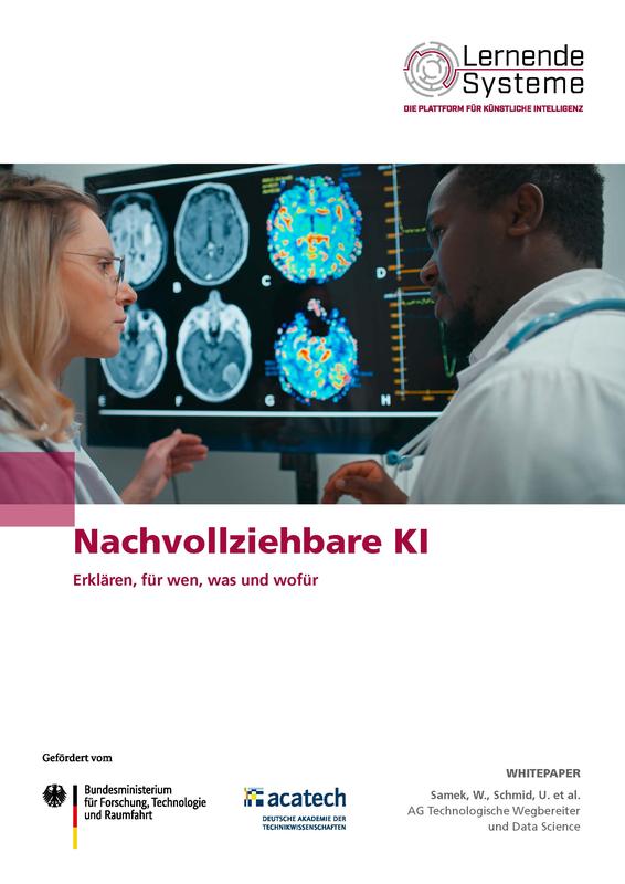 Nachvollziehbare KI. Erklären, für wen, was und wofür