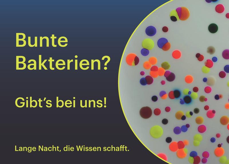 Farbstoffe aus Meerestieren in bunten Bakterien