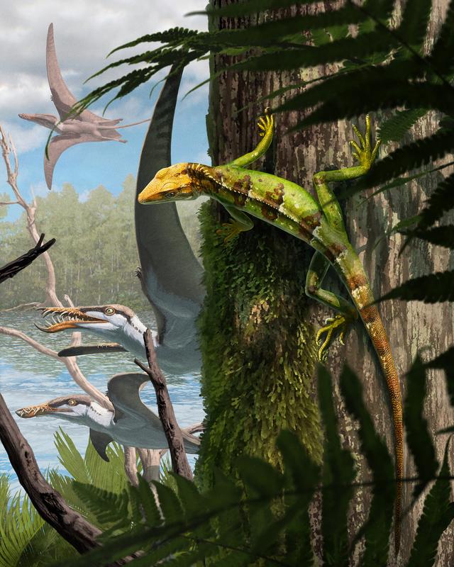 Lebend-Rekonstruktion von Sphenodraco scandentis im Solnhofener Archipel in Deutschland während des späten Jura.
