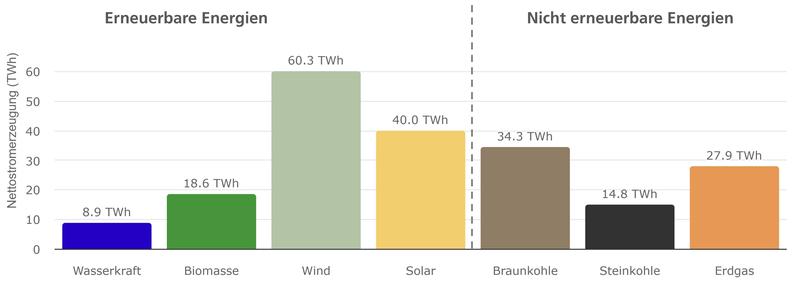 Öffentliche Nettostromerzeugung im ersten Halbjahr 2025. Die Grafik zeigt die Nettostromer-zeugung aus Kraftwerken zur öffentlichen Stromversorgung.