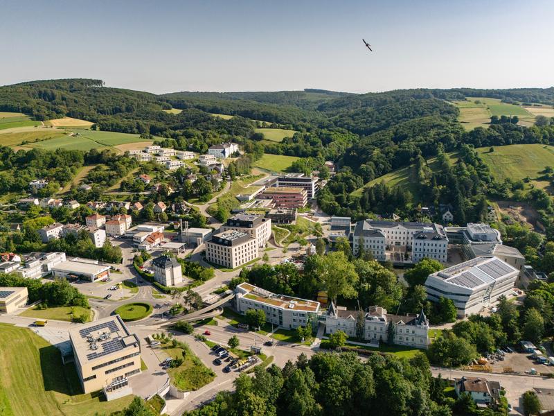 Auf dem Campus des Institute of Science and Technology Austria (ISTA) in Klosterneuburg betreiben rund 90 Forschungsgruppen – in den Naturwissenschaften, Mathematik und Computerwissenschaften – neugiergetriebene und interdisziplinäre Grundlagenforschung.