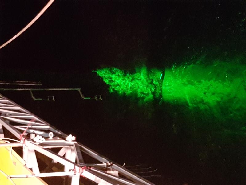 The researchers worked with a green laser that cuts through air and water, making currents visible.