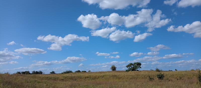 Cumulus Wolken über der Griesheimer Düne