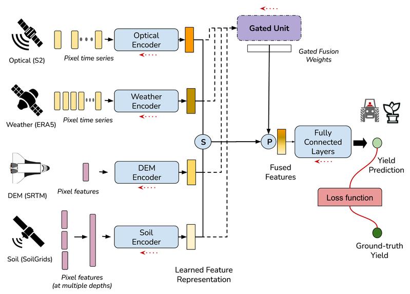 Illustration eines Modells der Multi-Modal Gated Fusion (MMGF) mit vier verwendeten Modalitäten.