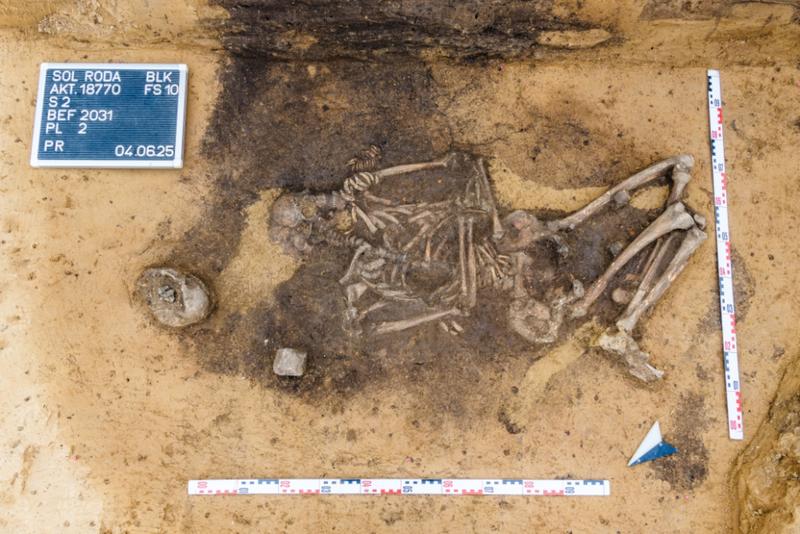 A woman´s grave of the Corded Ware Culture with numerous animal teeth found at Krauschwitz