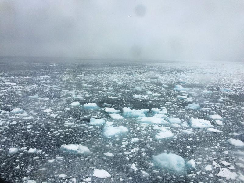 Zwischen den Ozean und der Atmosphäre finden umfangreiche Austauschprozesse statt. Hier am Übergang zwischen offenem Meer und Eisschelf. Die Aufnahmen entstand 2019 während der Expedition PI-ICE, an der auch Forschende vom TROPOS beteiligt waren.