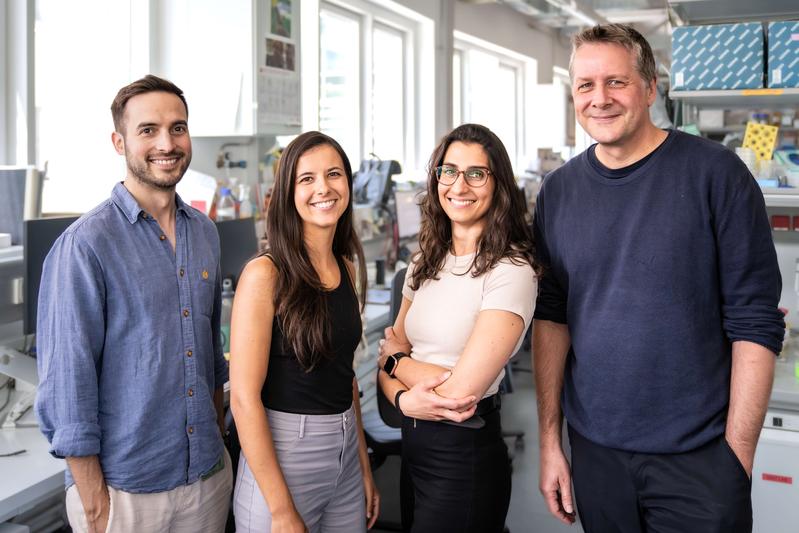 Part of the authors in the study from the Sixt group at ISTA. From left to right: Mario J. Avellaneda, Nikola Canigova, Patricia Reis-Rodrigues and Michael Sixt.
