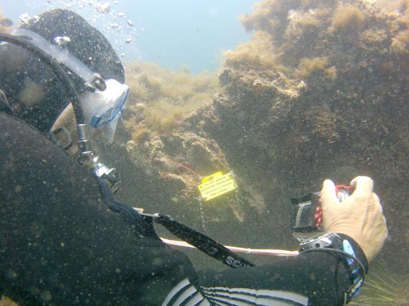 Ein Taucher vor einem BlueDOT-Sensor.Kalibrierungs-Tauchplätze sind jetzt an der Costa Brava (Spanien) und auf Gozo (Malta) eingerichtet. 