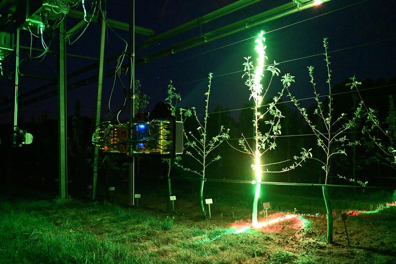Der Würzburger 3D-Laserscanner scannt einen Apfelbaum bei Nacht.