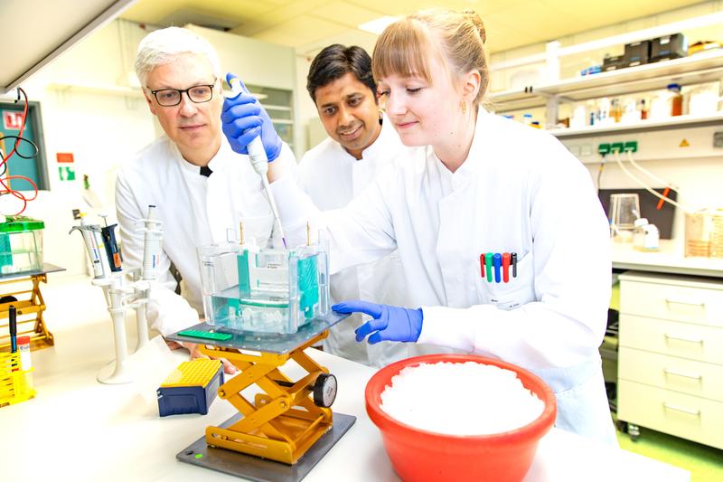 Unterstützen die exzellente Ausbildung für den wissenschaftlichen Nachwuchs im Graduiertenkolleg ACME: Professor Dr. Matthias Lochner (links) und Dr. Nishanth Gopala Krishna (Mitte) mit Doktorandin Merle Gatz.