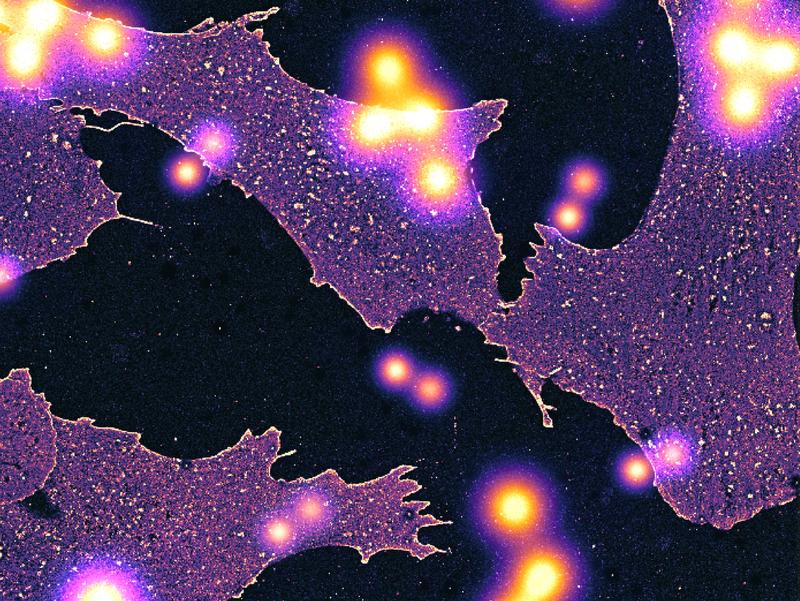 Artistic view of individually resolved glycans in front of whole cells.