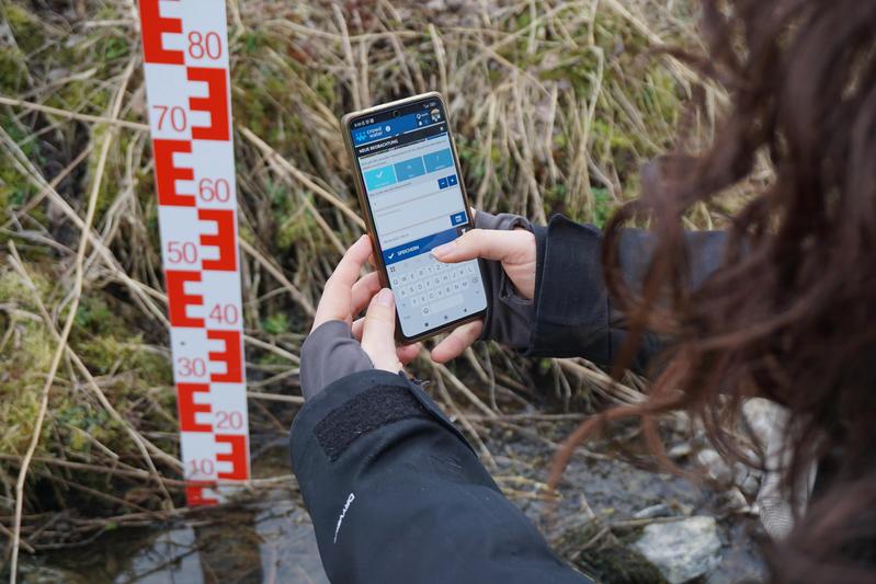 Merlin Rührer, wissenschaftliche Mitarbeiterin im Projekt, liest den Wasserstand an der Isweide (Bach) ab und trägt den Wert in die CrowdWater-App ein. 