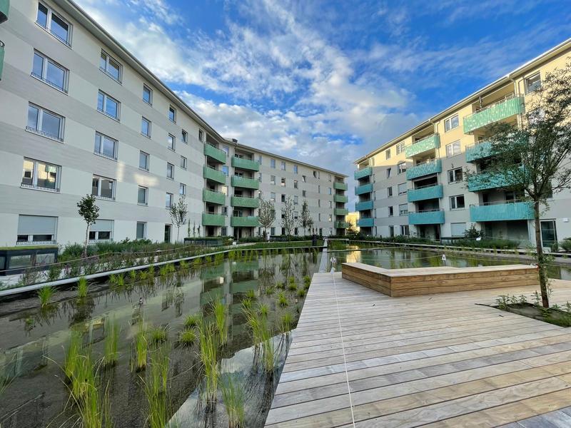 Aubuckel in Mannheim-Feudenheim eröffnet: mehr Klimaresilienz durch Wiederverwendung von Wasser. Die Deutsche Bundesstiftung Umwelt (DBU) hat das mehrjährige Projekt gefördert.