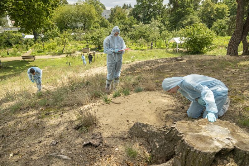 Die Taskforce des Leibniz-IZW im Einsatz
