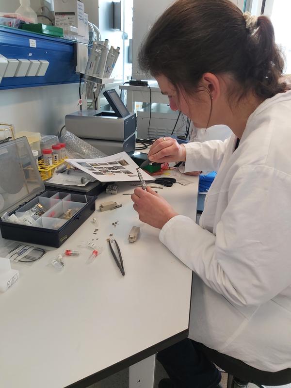 Preparation of the HippoBox project. In the photo Carola Hartel from the Biophysics department at GSI/FAIR.
