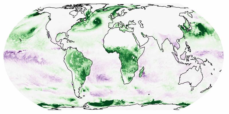 Fluss von Kohlendioxid zwischen Atmosphäre und Land-/Ozeanoberfläche am 25. Januar 2020 um 12 Uhr UTC, simuliert mit ICON. Grün bedeutet Aufnahme von Kohlenstoff, lila steht dafür, dass Kohlenstoff an die Atmosphäre abgegeben wird. 
