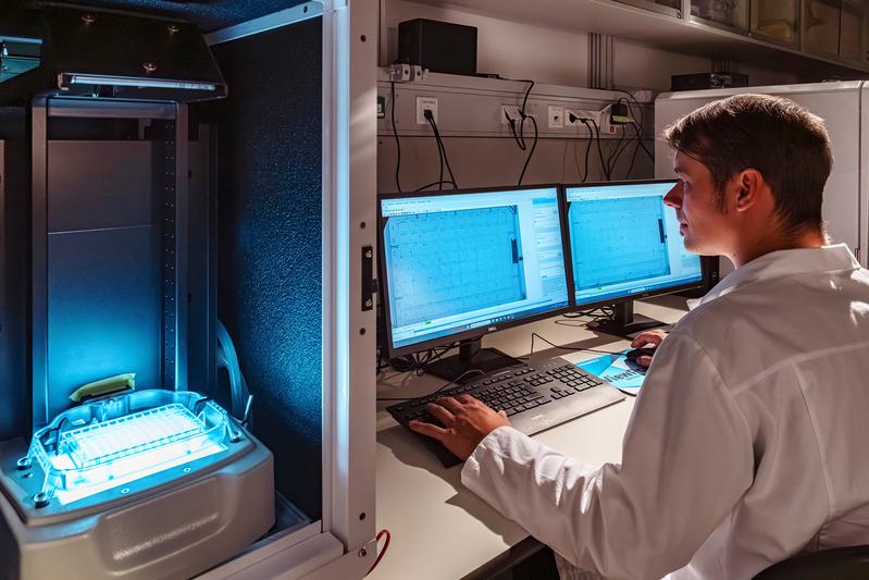 UFZ-Wissenschaftler Dr. David Leuthold testet mithilfe des Zebrafischmodells, ob Umweltchemikalien neurotoxisch wirken. 