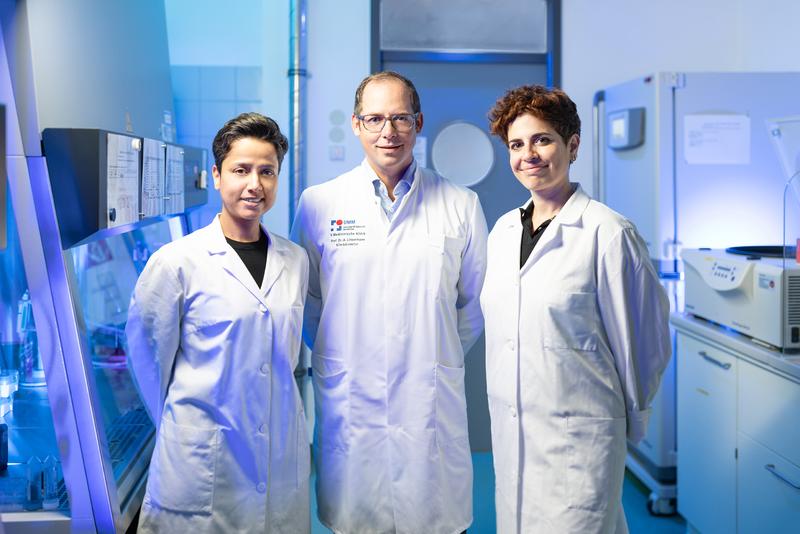 Prof. Dr. med. Andreas Linkermann und zwei der drei Erstautor:innen der im Journal Nature veröffentlichten Arbeit: Shubhangi Gavali, PhD (li.) und Francesca Maremonti, PhD.