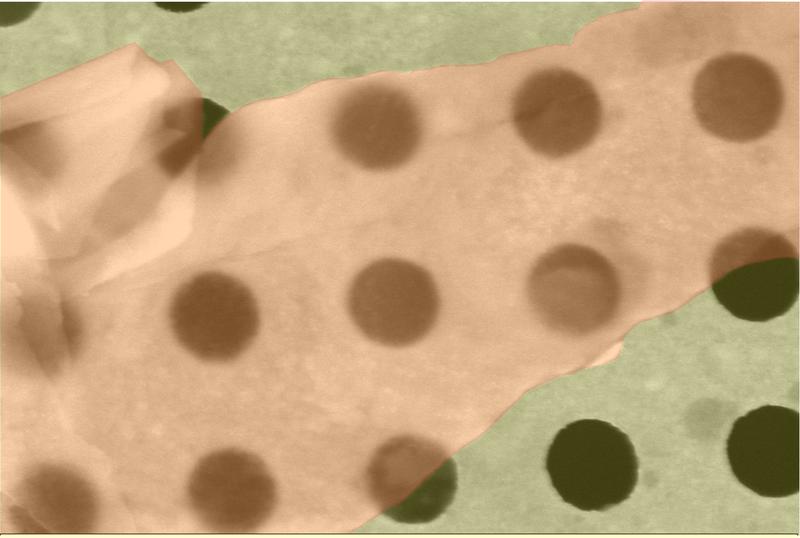 Rasterelektronenmikroskop-Aufnahme von Borophen auf einem gelochten Gold-Transmissionselektronenmikroskop-Gitter.