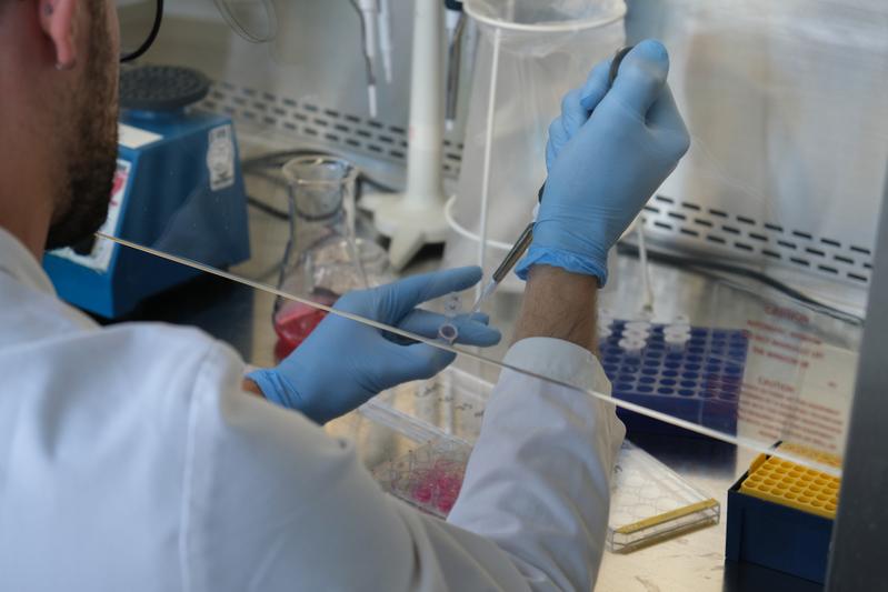 Targeted optimization of workflows can reduce plastic waste in the laboratory by up to 65%.