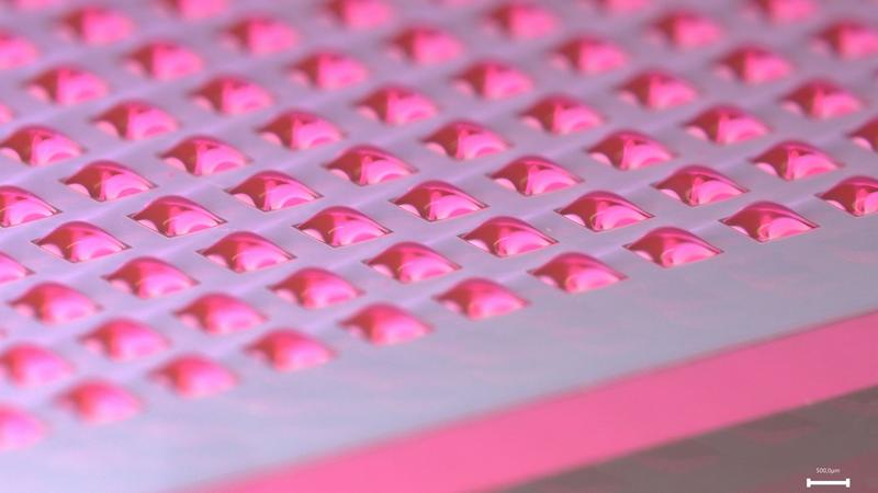 Mit 200 Nanolitern pro Tropfen können Forschende bis zu 1 000 Experimente auf einem einzelnen Chip durchführen. Größe und Anzahl lassen sich dabei individualisieren. (Foto: Liana Bauer, KIT)