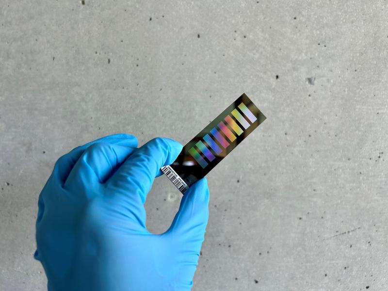 Ein Mitarbeiter des Universitätsklinikums Freiburg hält einen Methylom-Chip, der für die Analyse epigenetischer Veränderungen im Tumorgewebe verwendet wird.