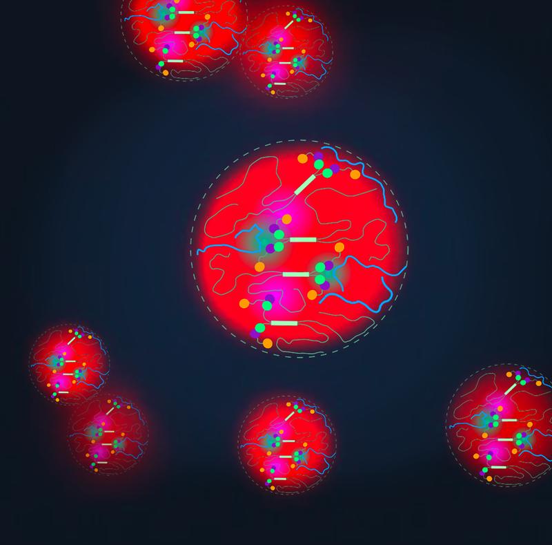 The weak multivalent interaction network of the two IDRs with EH123 likely contributes to co-phase separation of Eps15 and Dab2320–495. Eps15:Dab2 interactions = turquoise shading, Eps15:Eps15 interactions = pink shading