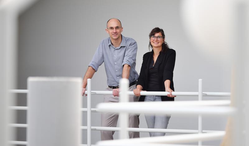 Professor Dr. Ingmar Weber, Prof. Dr. Daniela Braun