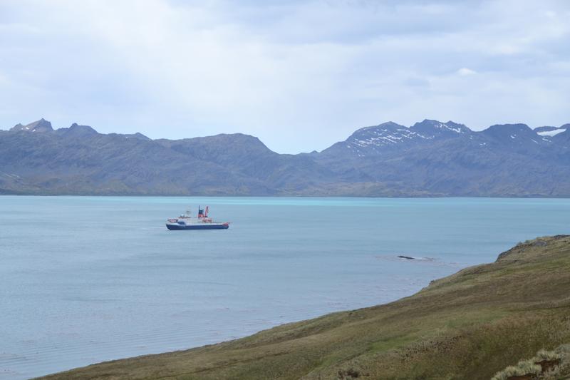 Mithilfe des Forschungsschiffs Polarstern konnten die Sedimentkerne gewonnen werden, die die Grundlage für die Studie zur Klima- und Ökosystemgeschichte der Antarktis bilden.