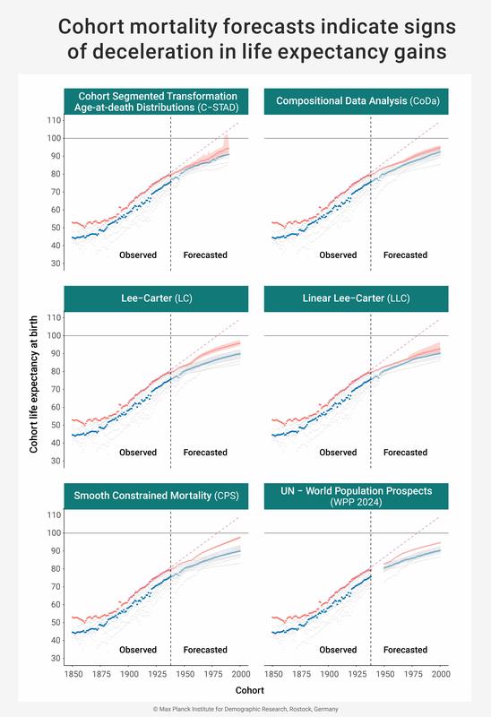 Cohort Mortality Forecasts Indicate Signs of Deceleration in Life Expectancy Gains