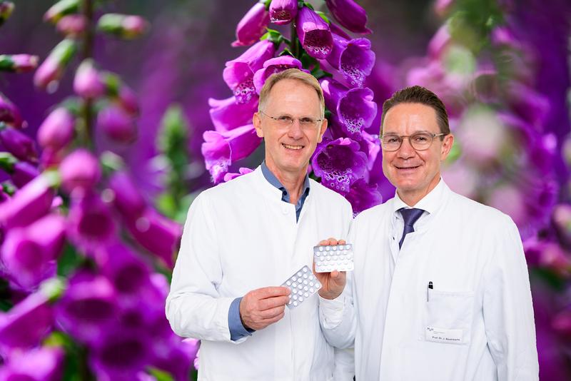 Fingerhut hilft bei Herzschwäche: Die Kardiologen Professor Udo Bavendiek (links) und Professor Johann Bauersachs haben die lebensverlängernde Wirkung von Digitoxin erstmals wissenschaftlich nachgewiesen. 