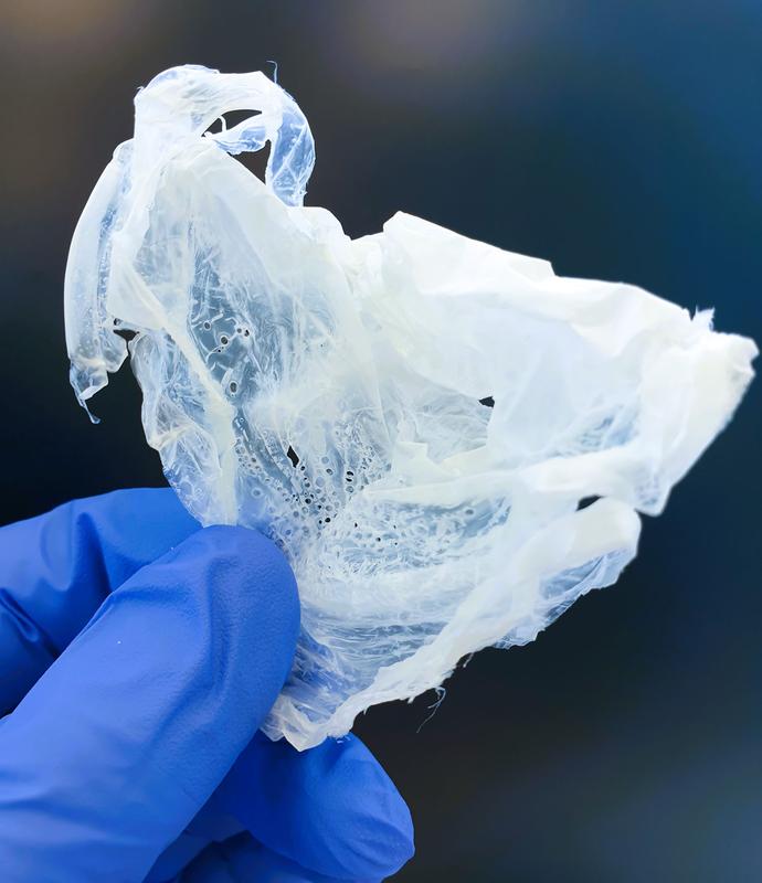 Der Kunststoff Polyhydroxyalkanoat (PHA), produziert aus organischen Säuren