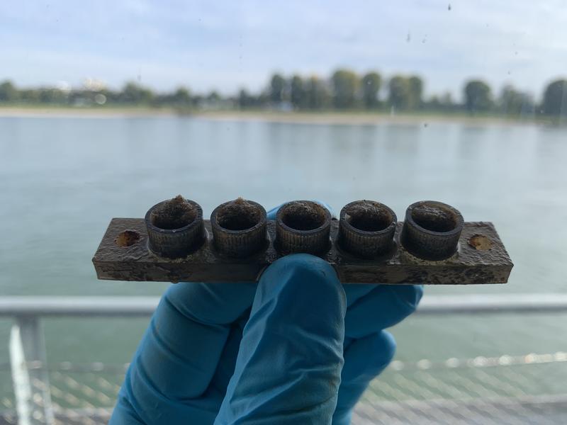 Welche Auswirkung hat Reifenabrieb auf den Rhein: Probenanordnung
