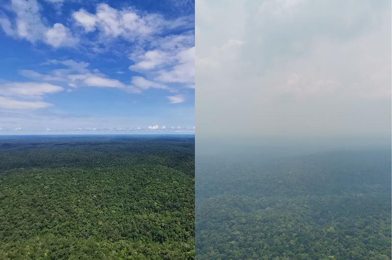 Ein Blick vom Forschungsturm ATTO auf den Amazonas-Regenwald bei klarer Sicht und bei dichtem Rauch im Jahr 2023, als eine außerordentliche Dürre herrschte und viele Feuer wüteten.