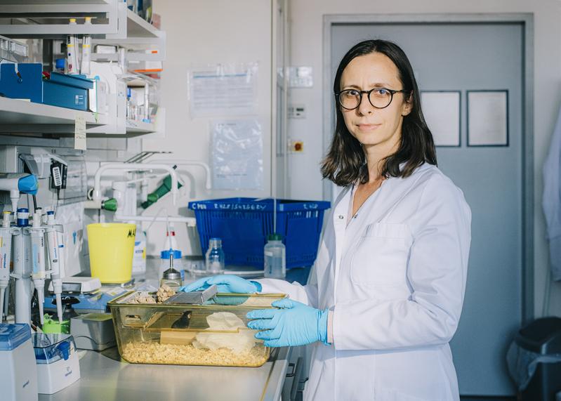 Sanja Bauer Mikulovic wird mit einem ERC Starting Grant gefördert für ihre Arbeit, wie Empathie im Gehirn entsteht – und warum sie manchmal versagt.