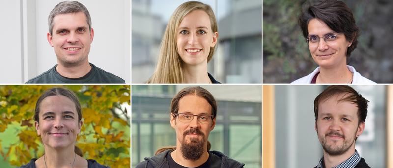 Sie erhalten ERC Starting Grants (im Uhrzeigersinn): Jerome Beetz, Mona Garvert, Beatrice Baragli, Jake Greenfield, Jens Hör und Jacqueline Degen. (Fotos: Robert Emmerich / Kerstin Flake / Daniel Hanoch / Chris Weiss / Nik Schölzel / Thomas Hovestadt)