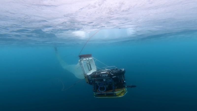 CONTRASTS ROV-Einsatz