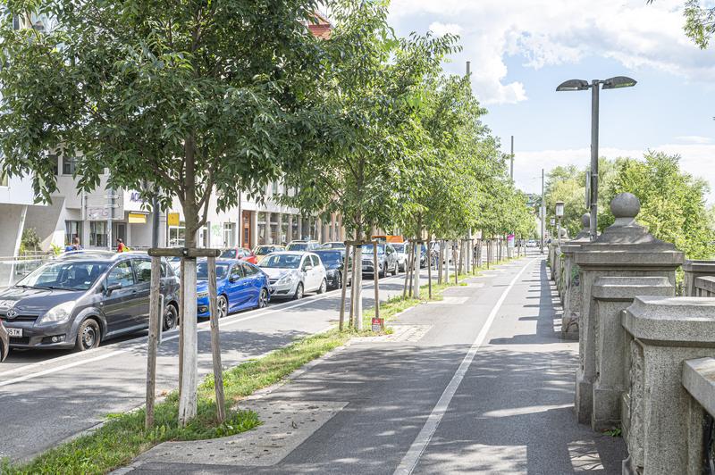 Nach dem Stockholm-System errichtete Baumrigolen entlasten das Kanalsystem und bekämpfen den Hitzeinsel-Effekt.