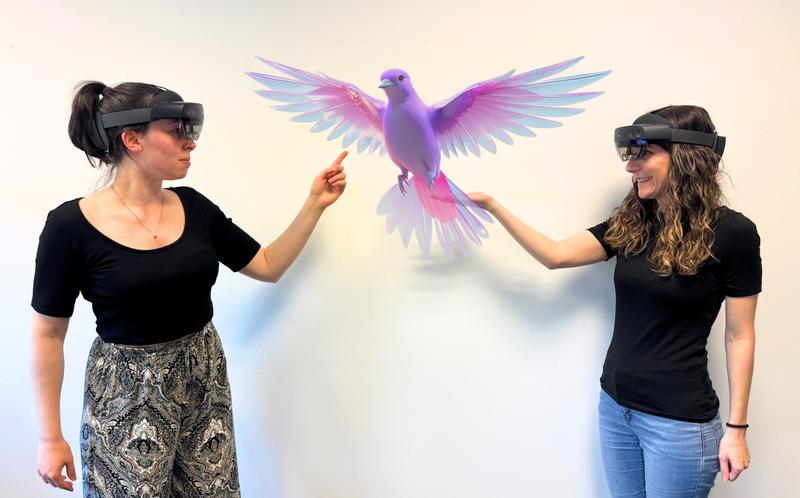 Im XRISE-Projekt sollen zum Beispiel Vögel in einen virtuellen Wald projiziert werden, um sie im Schulunterricht mit VR-Brille anzuschauen.