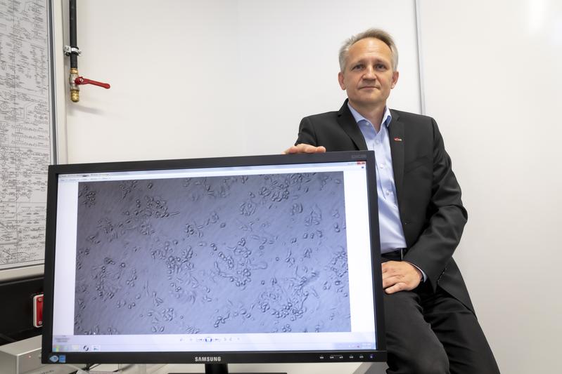 Christian Baumgartner, Leiter des Institute of Health Care Engineering der TU Graz.