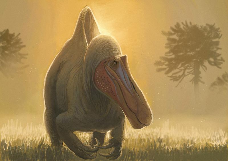 Rekonstruktion des Raubsauriers Camarillasaurus cirugedae.