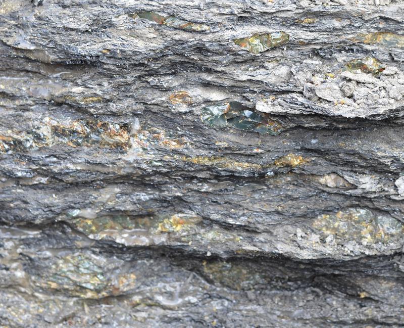 Das bernsteinreiche Sediment in Ecuador gibt Auskunft über die Vergangenheit in Südamerika. 