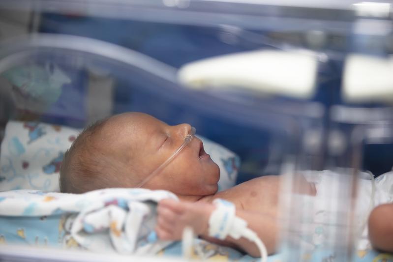 Congenital diaphragmatic hernia is one of the deadliest malformations in newborns.