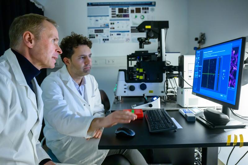 Prof. Haucke im Labor