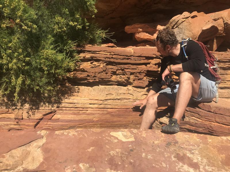 In der Fossilüberlieferung finden die Forschenden Spuren von „Earth System Engineering“ der tiefen Vergangenheit, hier im australischen Kalbarri Nationalpark. 