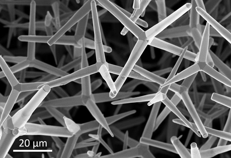 Raster electron micrograph: Initial t-ZnO tetrapod structure coated with nanometer-thin graphene layer.