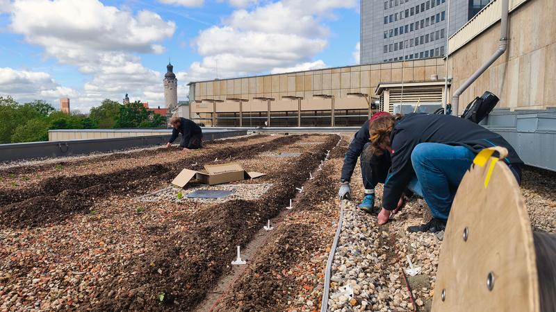Forscher auf dem Dach des Gewandhauses zu Leipzig beim Einsetzen der Sensoren